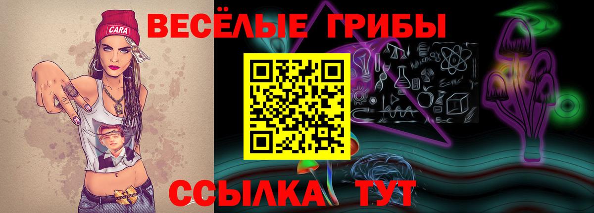 Красноярск  Псилоцибиновые грибы прущие грибы  Вход с VPN 